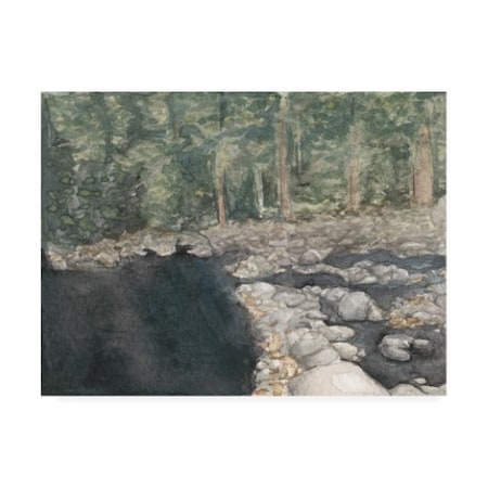 Natasha Chabot 'Virginia Forest Ii' Canvas Art,14x19